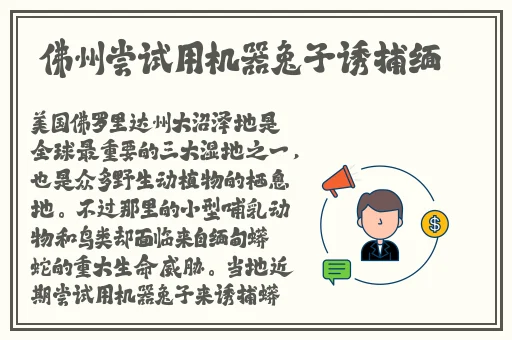 17c吃瓜官网